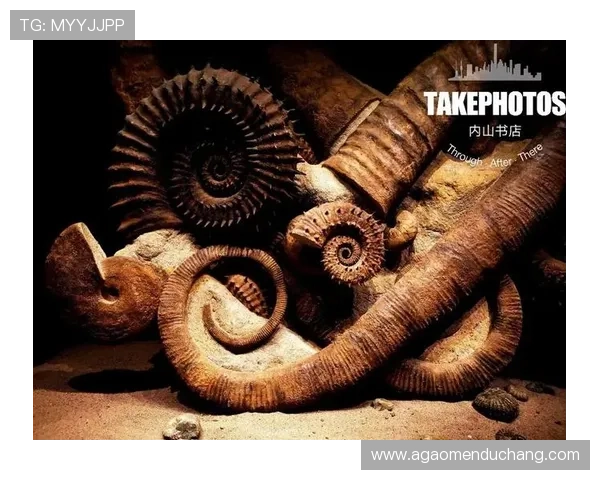 海洋之神百家乐：深海主题带你沉浸在神秘海底冒险中